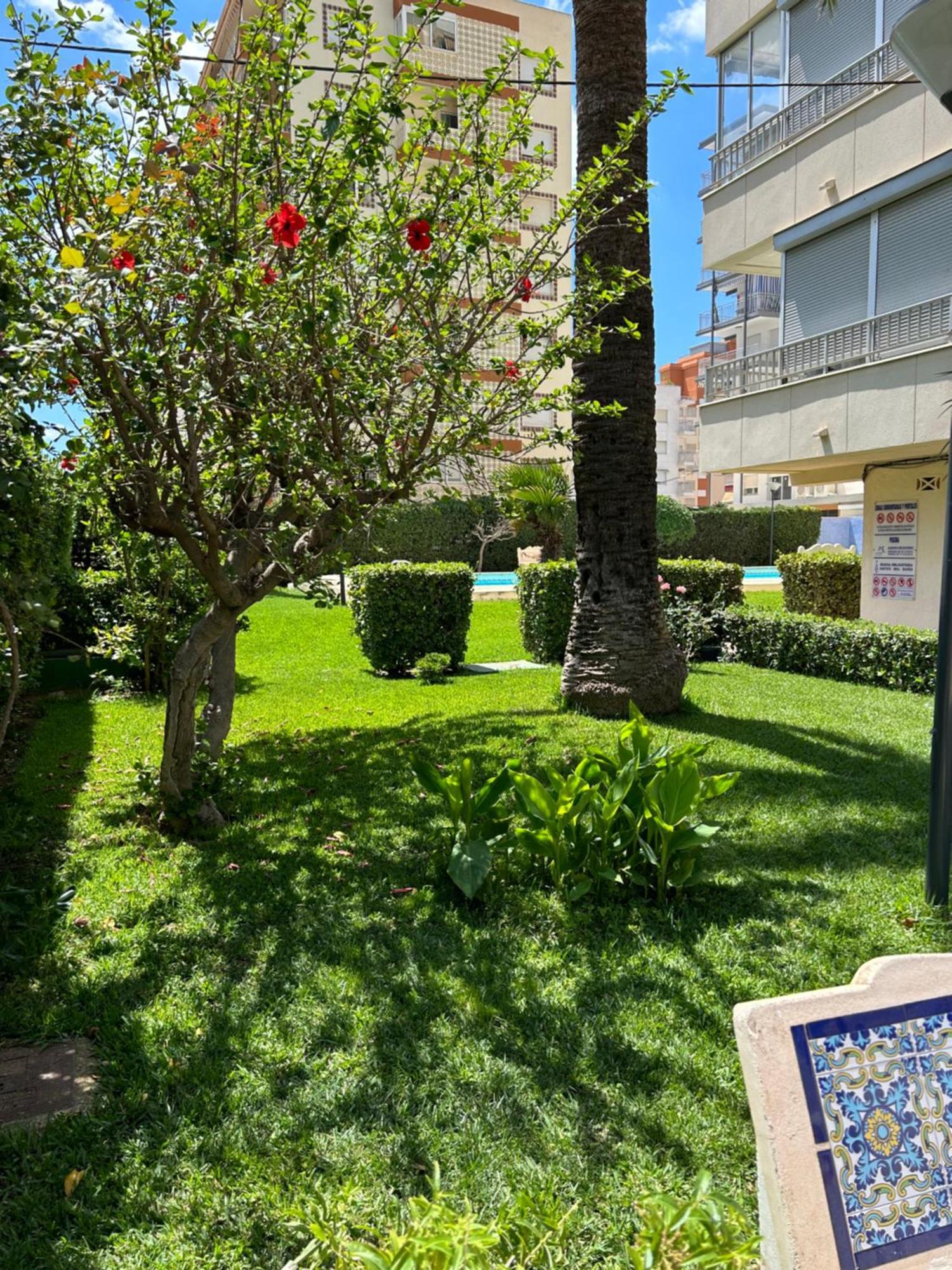 Playa de Gandia Apartamento Gandia Playa 150M Playa Con Parking Privado Y Piscina מראה חיצוני תמונה